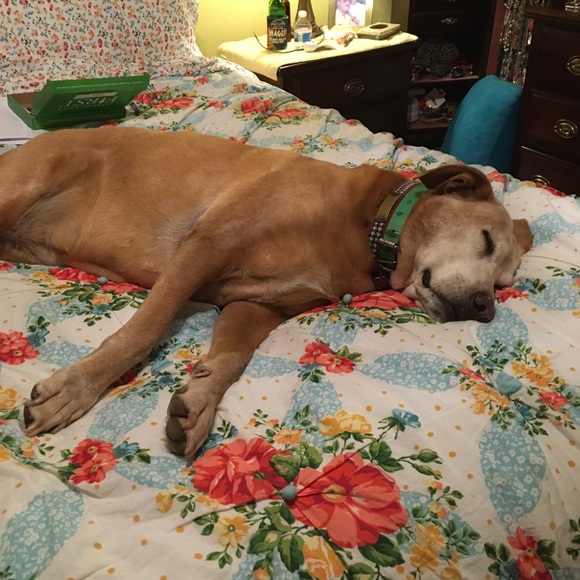 Meet your Posher, Cathy - Picture 1 of 1